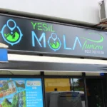 Artvin ve Arhavi’nin En İyi Tur Firmaları: Neden Yeşil Mola Turizm?